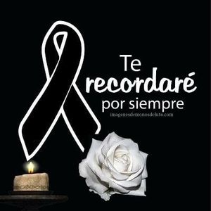 Meet your Posher, Luis manuel